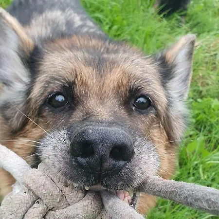 公寓 Przy Szlaku, Bezplatny Parking *