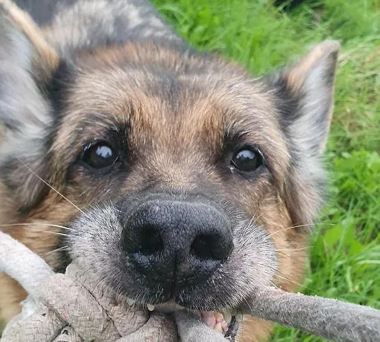 Appartamento Przy Szlaku, Bezplatny Parking *